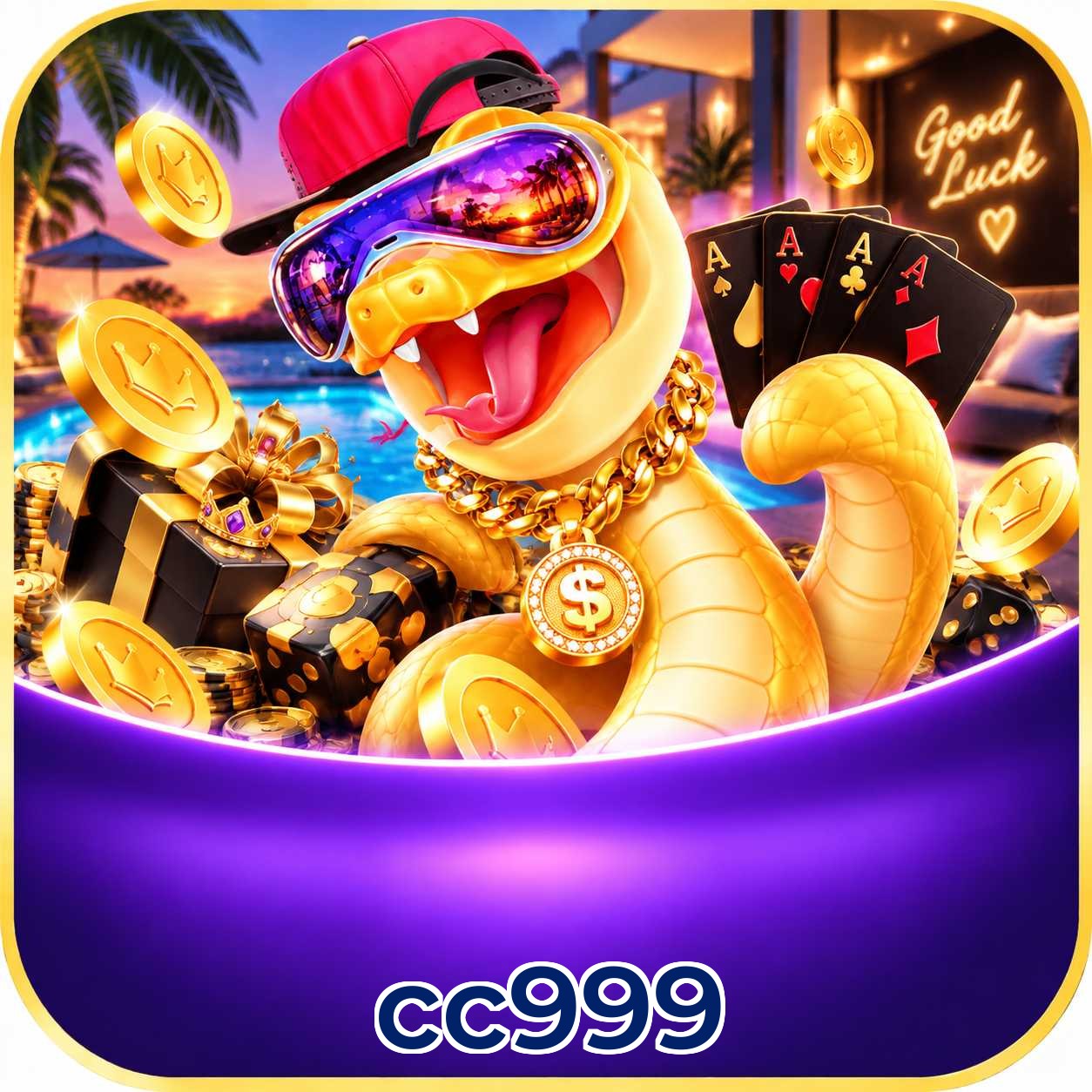 cc999 FAQ